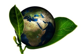 Brevetti free per nuove tecnologie a basse emissioni di carbonio