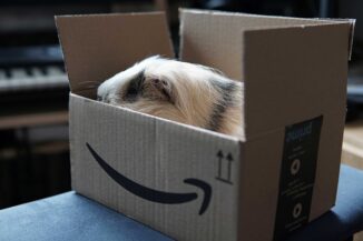 Amazon Prime Day 2021 è alle porte, anche per i cybercriminali