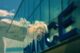 acquisizione Fusione ok tra Tech Data e Synnex: nasce TD SYNNEX