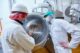 sicurezza alimentare