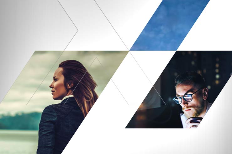 ingram micro