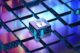 Bug Bounty Program